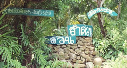 Attraction Image