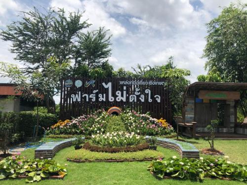 Attraction Image
