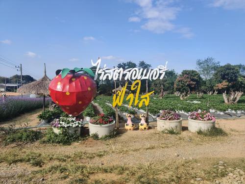 Attraction Image