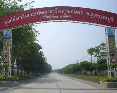 Attraction Image