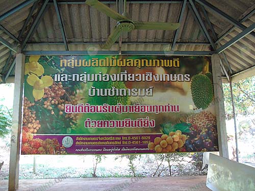 Attraction Image