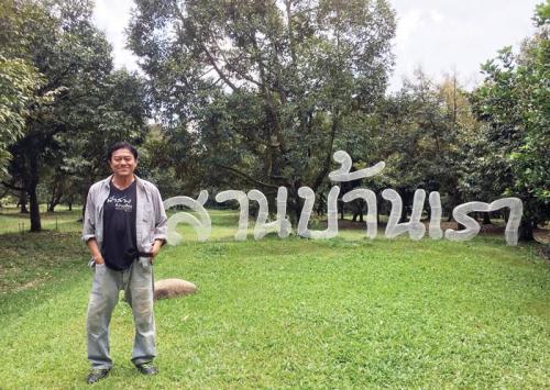 Attraction Image