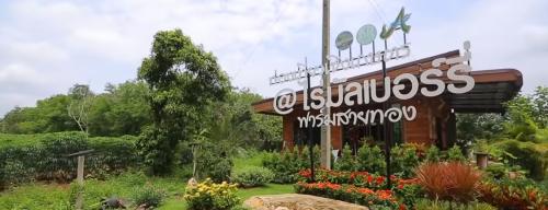 Attraction Image