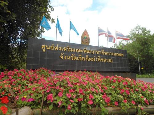 Attraction Image