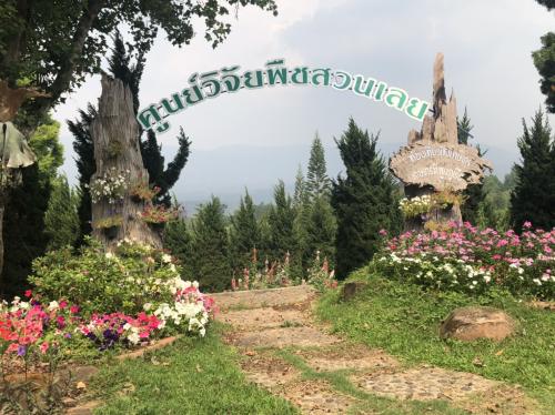 Attraction Image