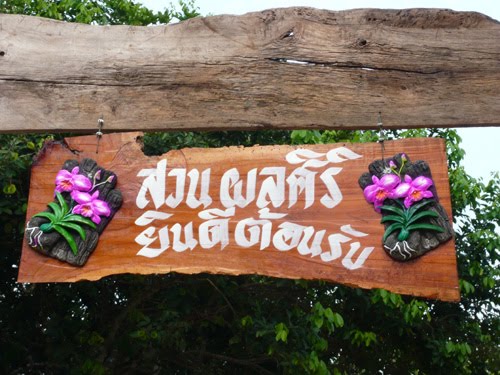 Attraction Image