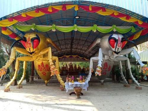 Attraction Image