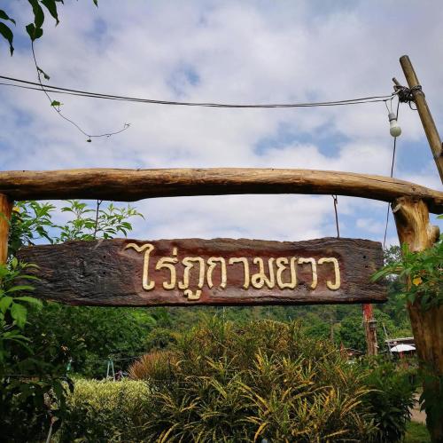 Attraction Image