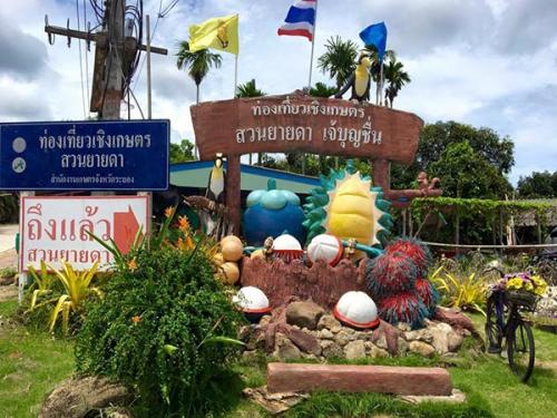 Attraction Image