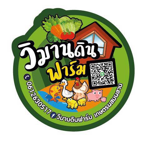 Attraction Image