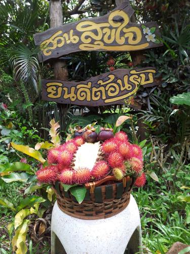 Attraction Image