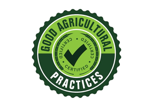 Standard Logo