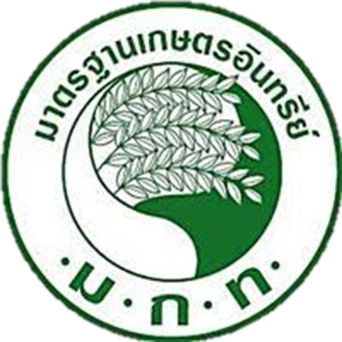 Standard Logo