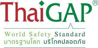 Standard Logo